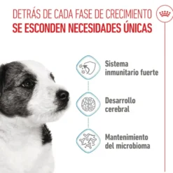 Royal Canin Mini Puppy pienso para perros