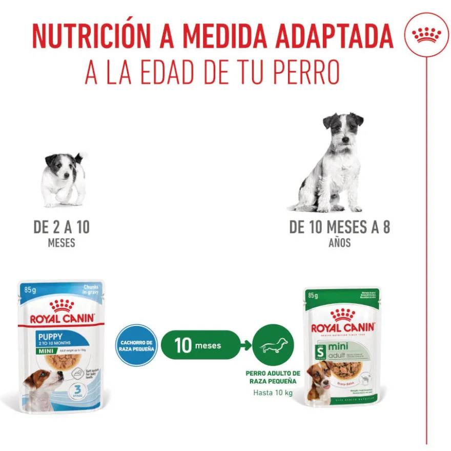 Royal Canin Mini Puppy sobre en salsa