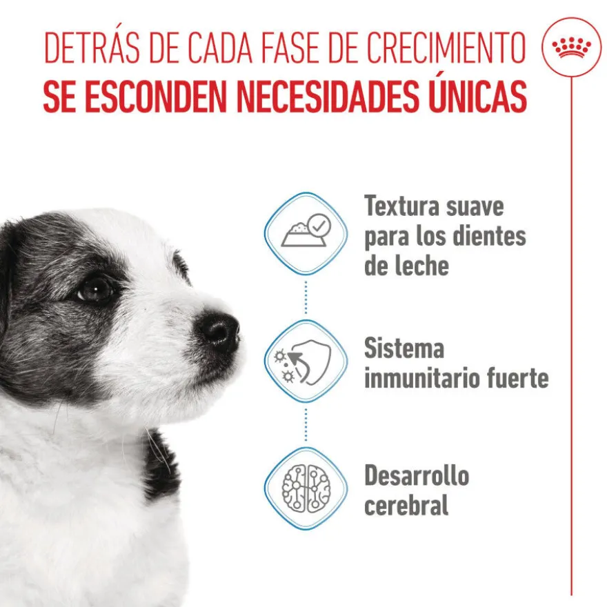 Royal Canin Mini Puppy sobre en salsa