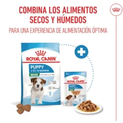 Royal Canin Mini Puppy sobre en salsa