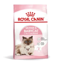 Royal Canin Mother & Babycat pienso para gatos