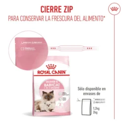 Royal Canin Mother & Babycat pienso para gatos