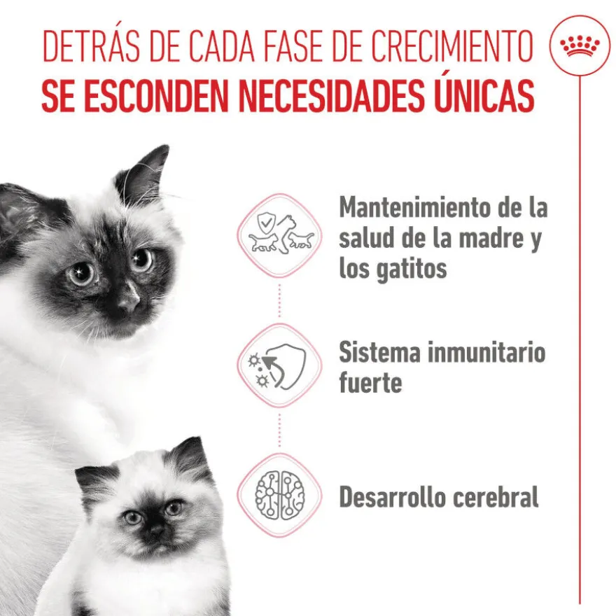 Royal Canin Mother & Babycat pienso para gatos