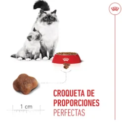 Royal Canin Mother & Babycat pienso para gatos
