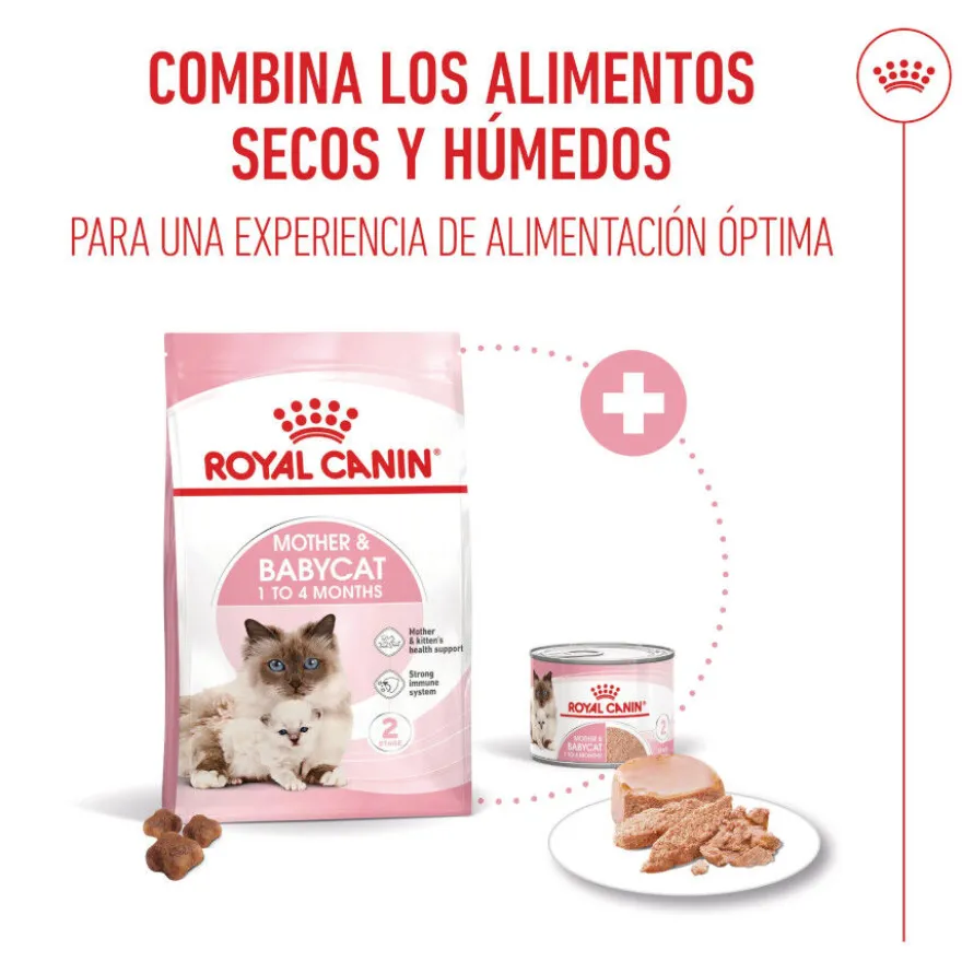 Royal Canin Mother & Babycat pienso para gatos