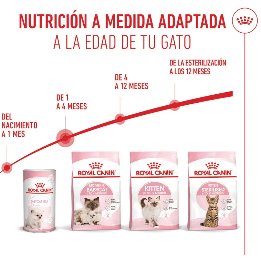 Royal Canin Mother & Babycat pienso para gatos