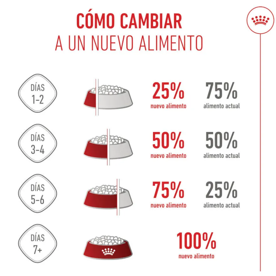 Royal Canin Mother & Babycat pienso para gatos