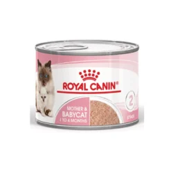 Royal Canin Mother & Baby mousse latas para gatos