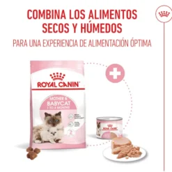 Royal Canin Mother & Baby mousse latas para gatos