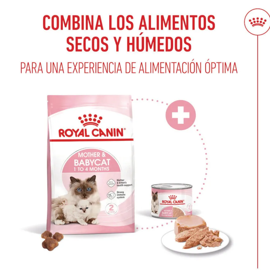 Royal Canin Mother & Baby mousse latas para gatos