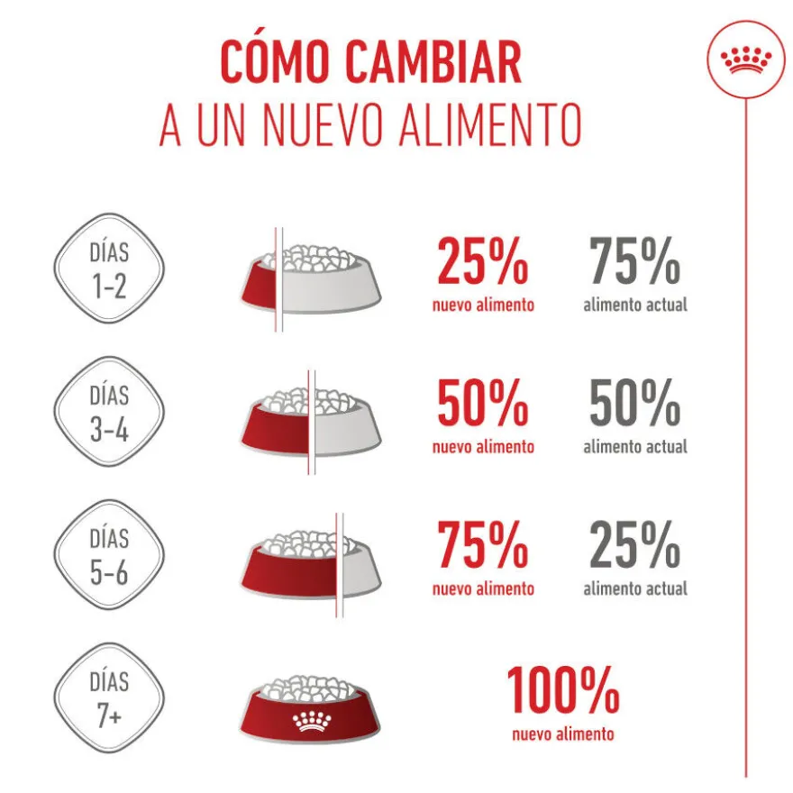 Royal Canin Mother & Baby mousse latas para gatos