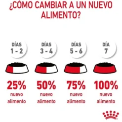 Royal Canin Nutrition Appetite Control Care gelatina para gatos
