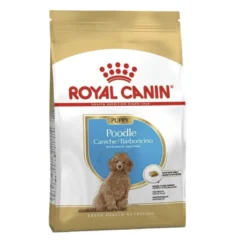 Royal Canin Poodle Puppy pienso para perros
