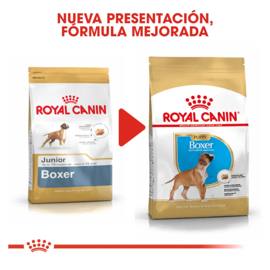 Royal Canin Puppy Boxer pienso para perros