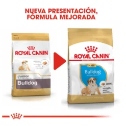 Royal Canin Puppy Bulldog pienso para perros