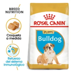 Royal Canin Puppy Bulldog pienso para perros
