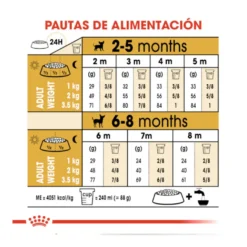 Royal Canin Puppy Chihuahua pienso para perros