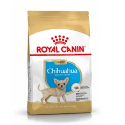Royal Canin Puppy Chihuahua pienso para perros