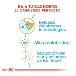 Royal Canin Puppy Chihuahua pienso para perros