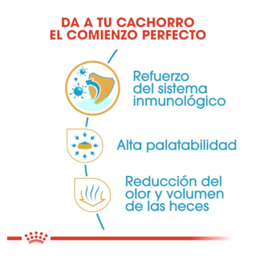 Royal Canin Puppy Chihuahua pienso para perros