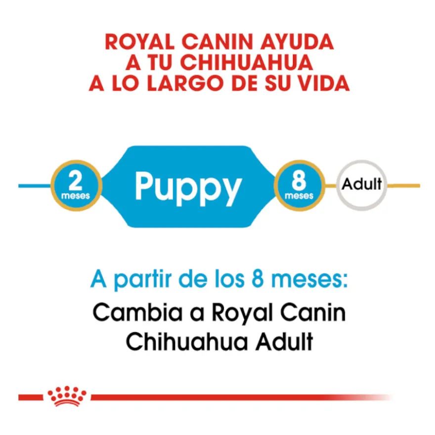Royal Canin Puppy Chihuahua pienso para perros