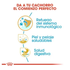 Royal Canin Puppy Cocker pienso para perros