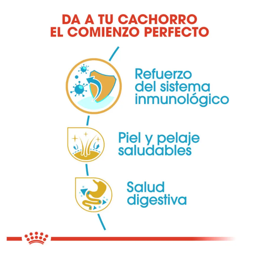 Royal Canin Puppy Cocker pienso para perros