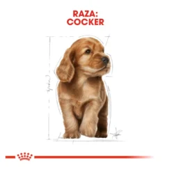 Royal Canin Puppy Cocker pienso para perros