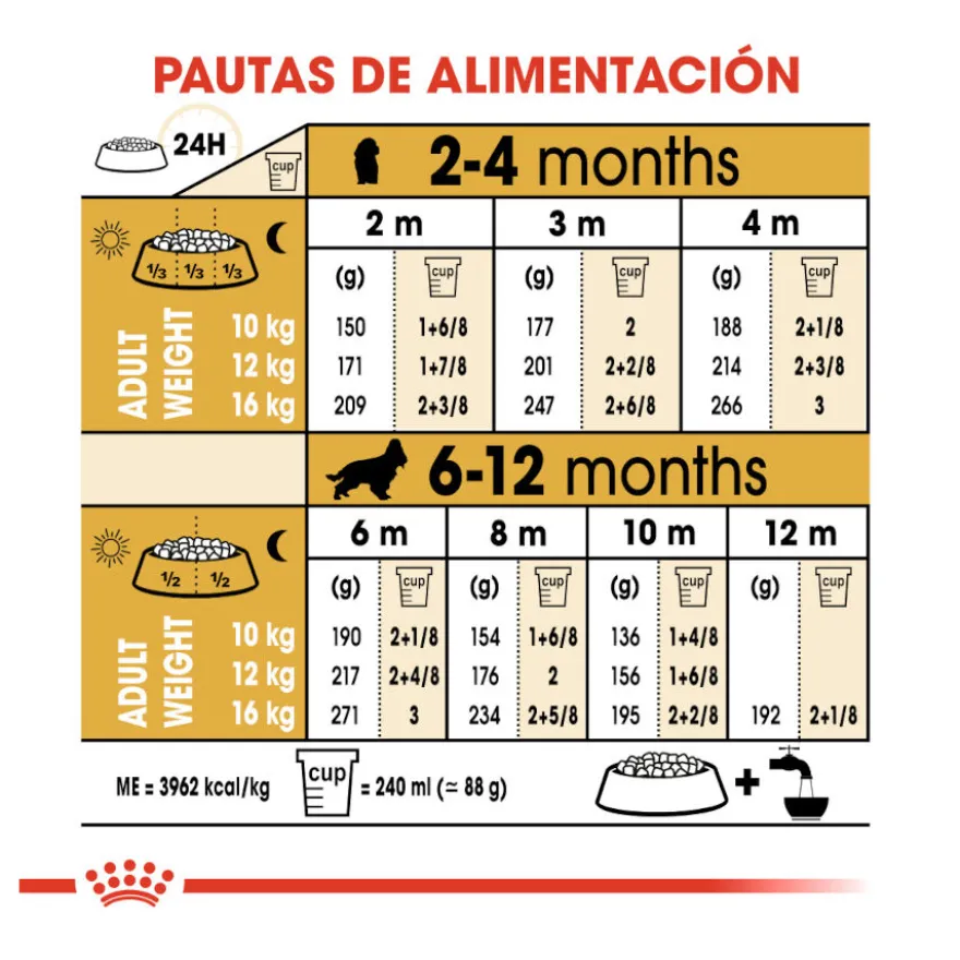Royal Canin Puppy Cocker pienso para perros