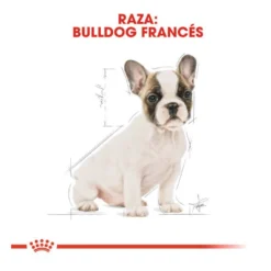 Royal Canin Puppy French Bulldog pienso para perros