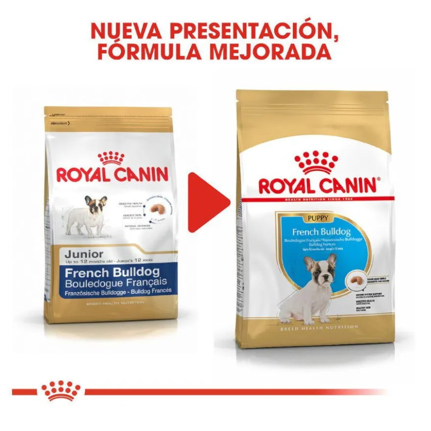 Royal Canin Puppy French Bulldog pienso para perros