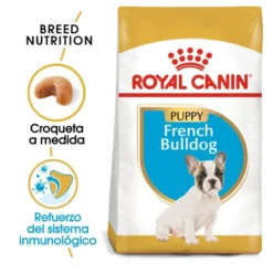 Royal Canin Puppy French Bulldog pienso para perros
