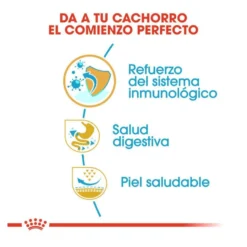 Royal Canin Puppy French Bulldog pienso para perros