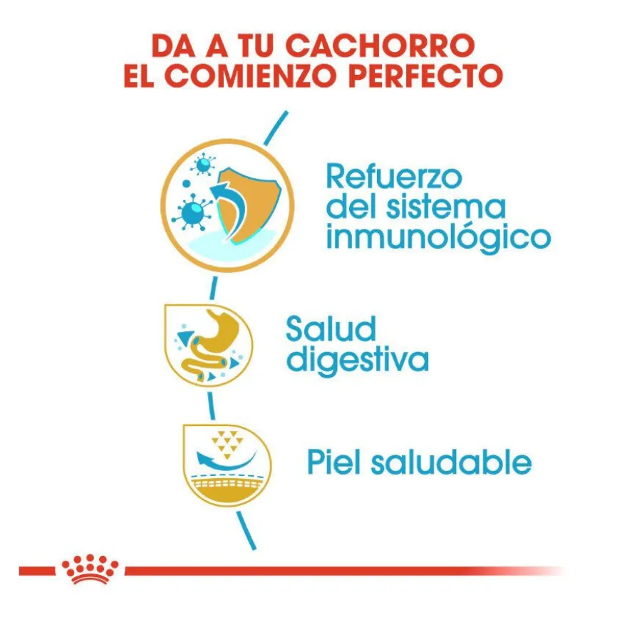Royal Canin Puppy French Bulldog pienso para perros