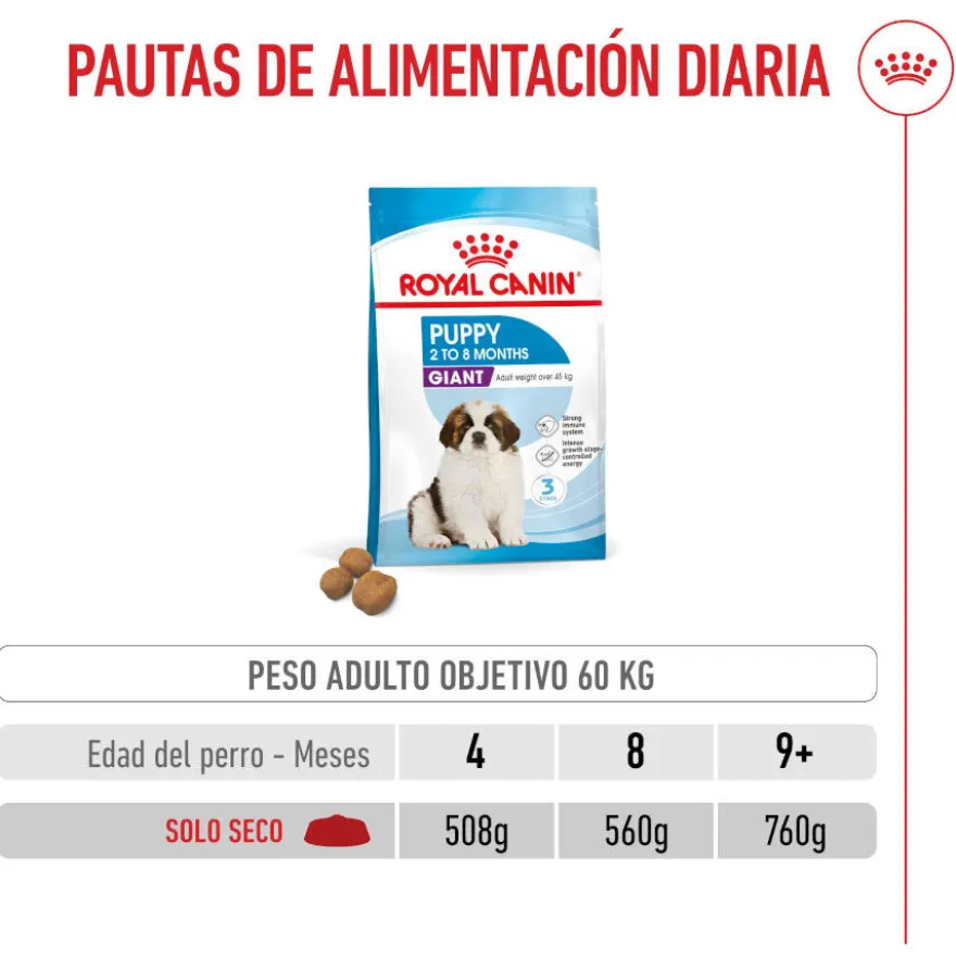 Royal Canin Puppy Giant pienso para perros