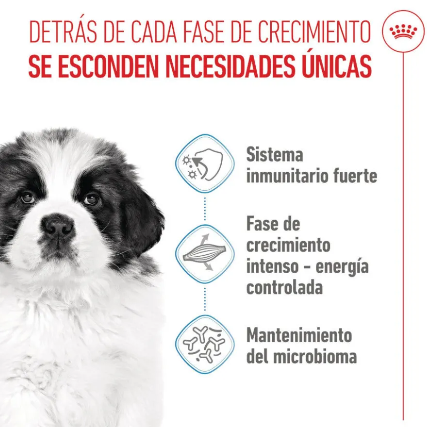Royal Canin Puppy Giant pienso para perros