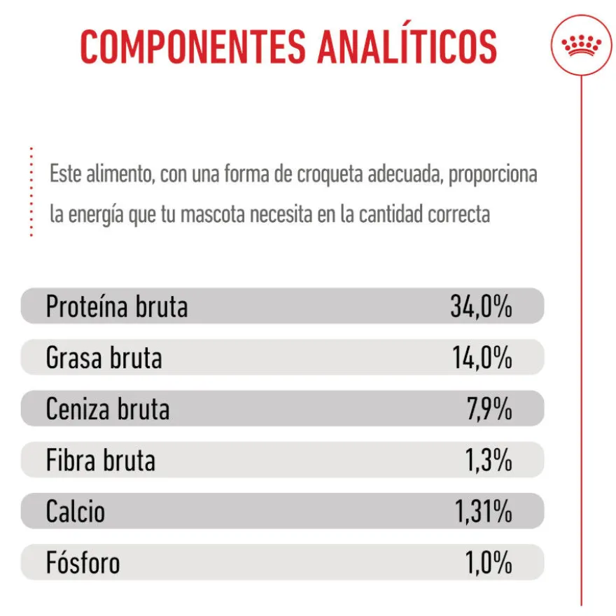 Royal Canin Puppy Giant pienso para perros