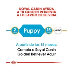 Royal Canin Puppy Golden Retriever pienso para perros