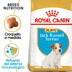 Royal Canin Puppy Jack Russell Terrier pienso para perros