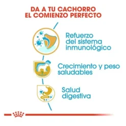 Royal Canin Puppy Labrador Retriever pienso para perros