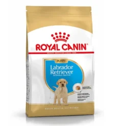 Royal Canin Puppy Labrador Retriever pienso para perros
