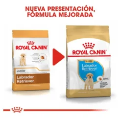 Royal Canin Puppy Labrador Retriever pienso para perros