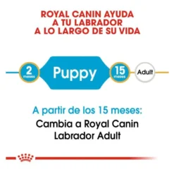 Royal Canin Puppy Labrador Retriever pienso para perros