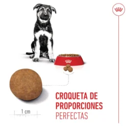 Royal Canin Puppy Maxi pienso para perros