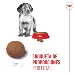 Royal Canin Puppy Medium pienso para perros