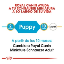 Royal Canin Puppy Miniature Schnauzer pienso para perros