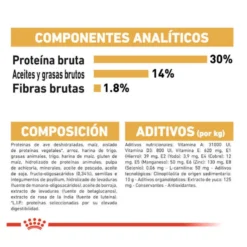Royal Canin Puppy Miniature Schnauzer pienso para perros