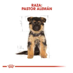 Royal Canin Puppy Pastor Alemán pienso para perros