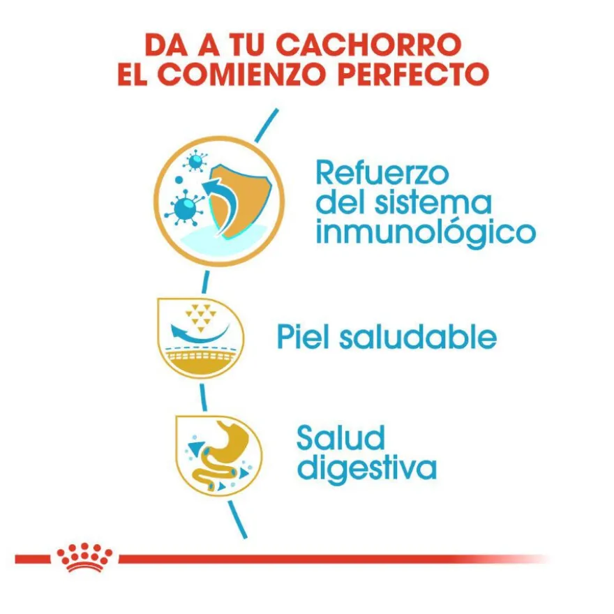 Royal Canin Puppy Pug pienso para perros