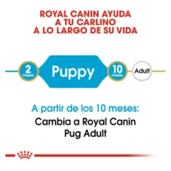 Royal Canin Puppy Pug pienso para perros
